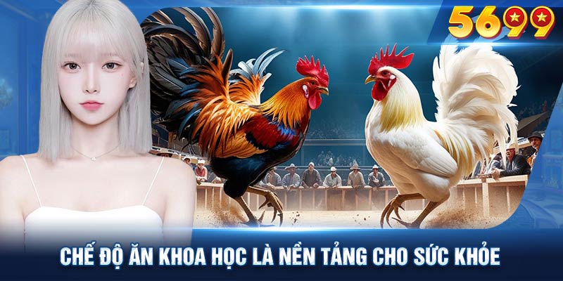 Chế độ ăn khoa học là nền tảng cho sức khỏe và sức mạnh của gà